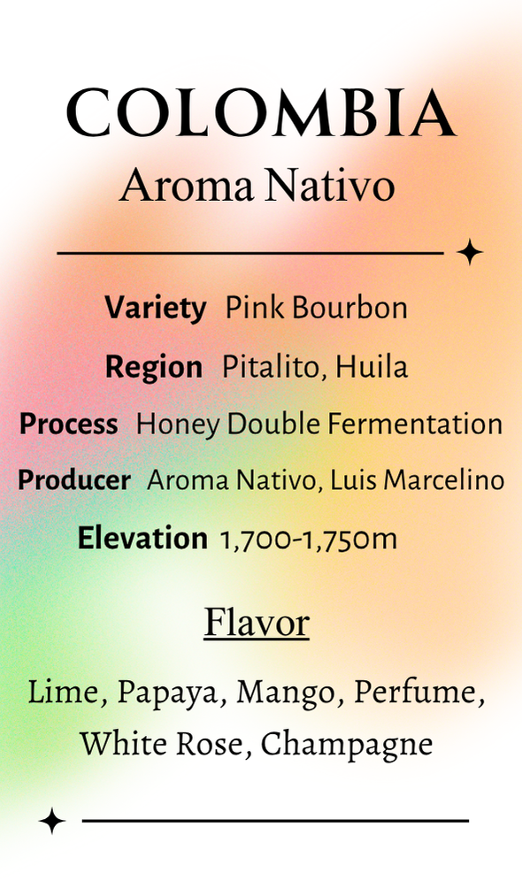 【大人気!残りわずか】Colombia Aroma Nativo