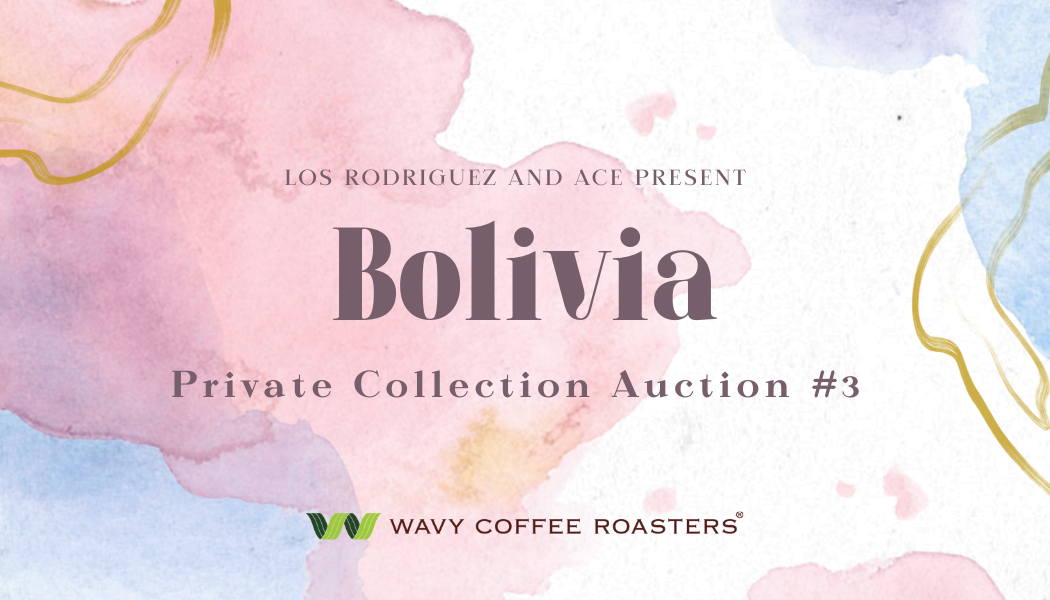 【NEW】Bolivia Private Collection Auction #3