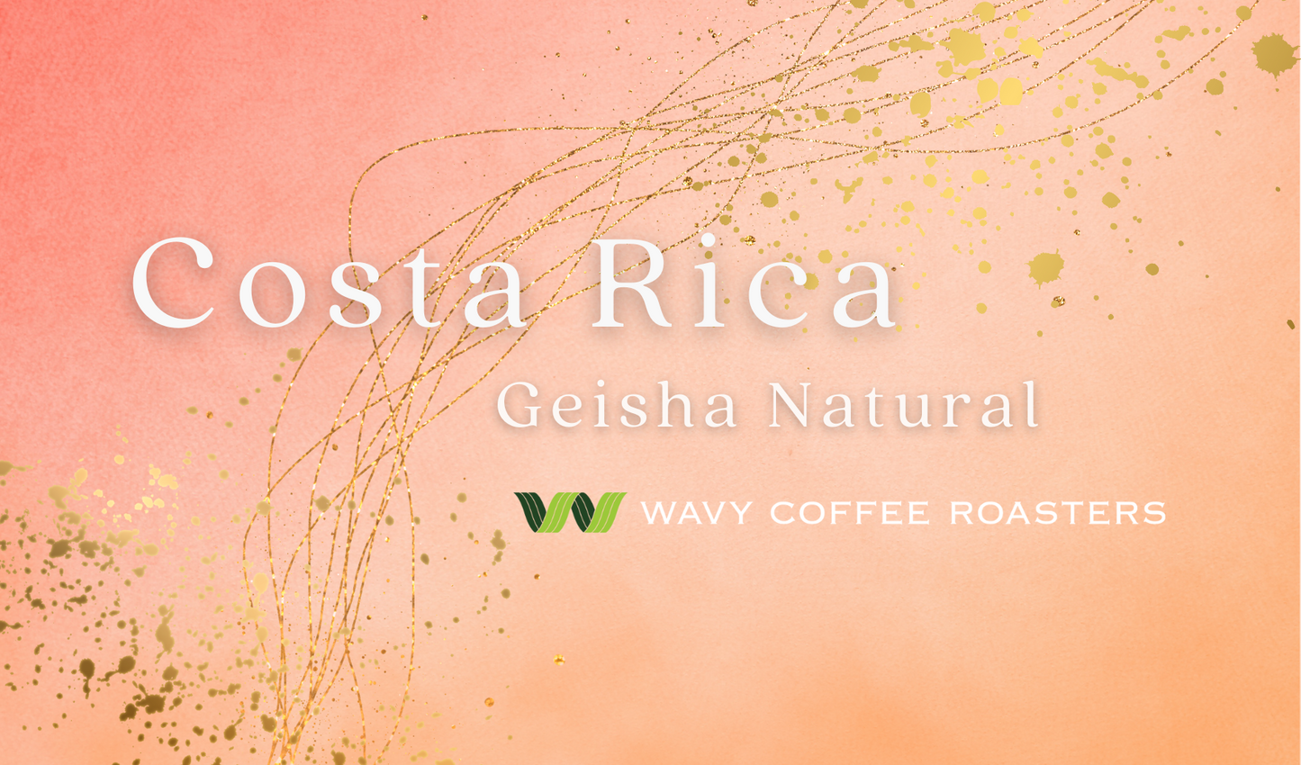 【NEW!!】Costa Rica Geisha Natural WAVY Special Lot
