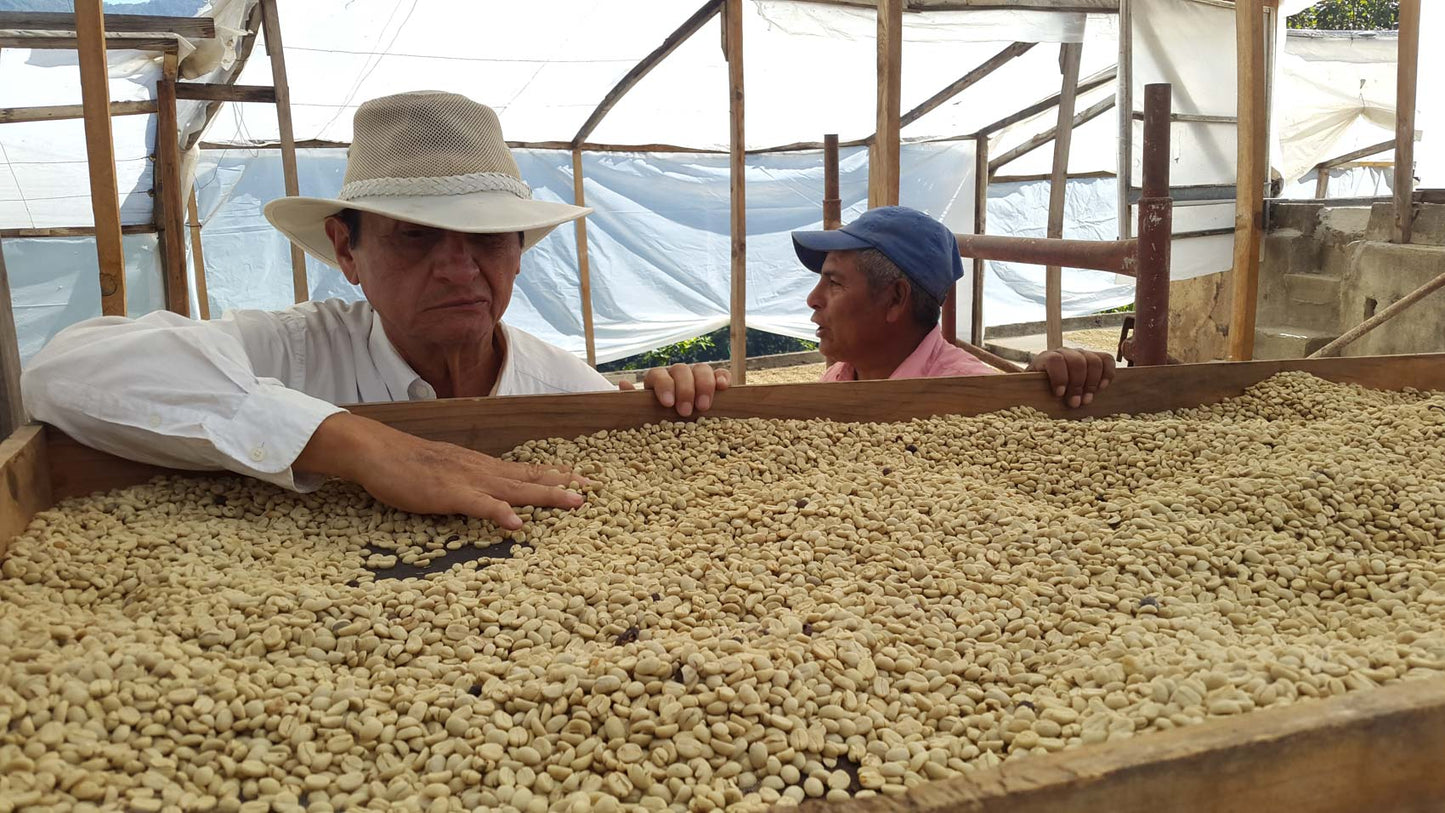 【NEW!!】Guatemala COE #4