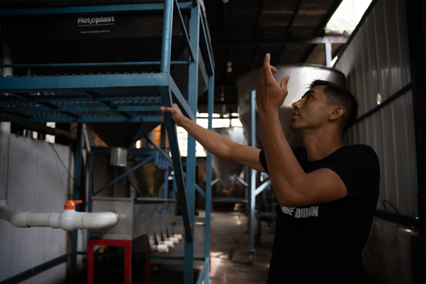 Colombia Los Nogales WAVY Special Lot