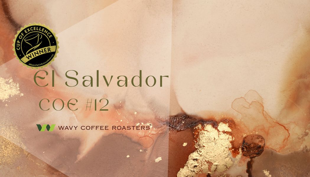 残りわずか】El Salvador 2022 COE #12 – WAVY COFFEE ROASTERS