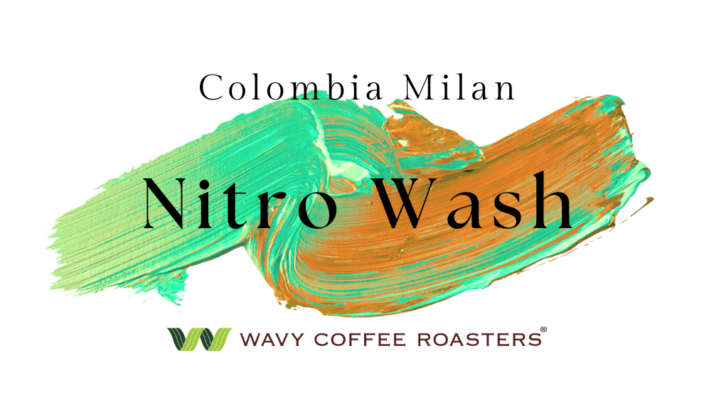 Colombia Nitro Washed