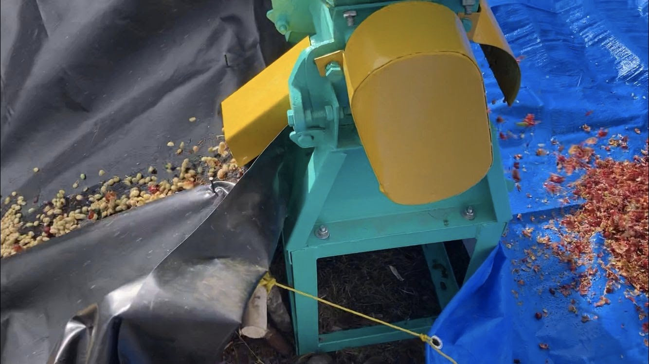 【SOLD OUT】Ethiopia Tamiru Tadesse Honey