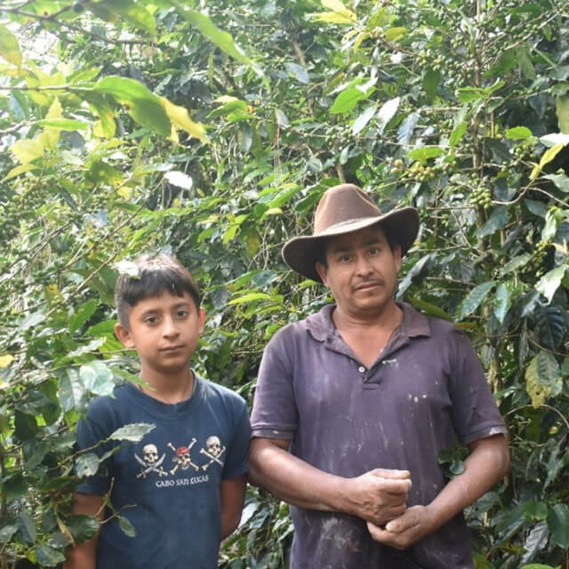 【NEW!!】Honduras El Pino Typica Washed
