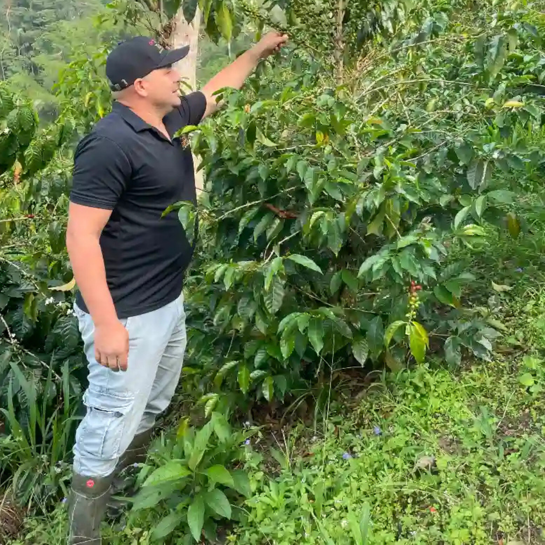 Colombia Gesha Spirits Semi-Washed Anaerobic