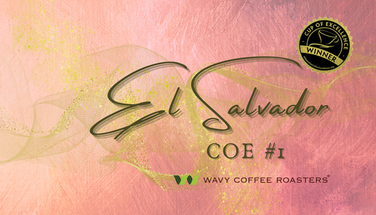 【NEW‼︎】El Salvador 2023 COE #1