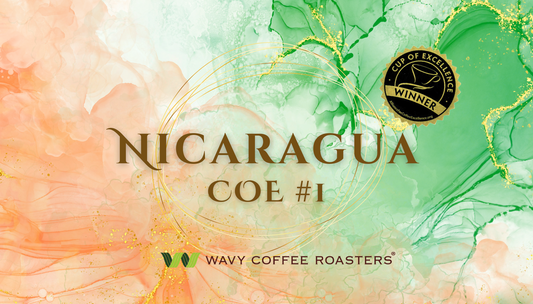 【NEW】Nicaragua 2023 COE #1