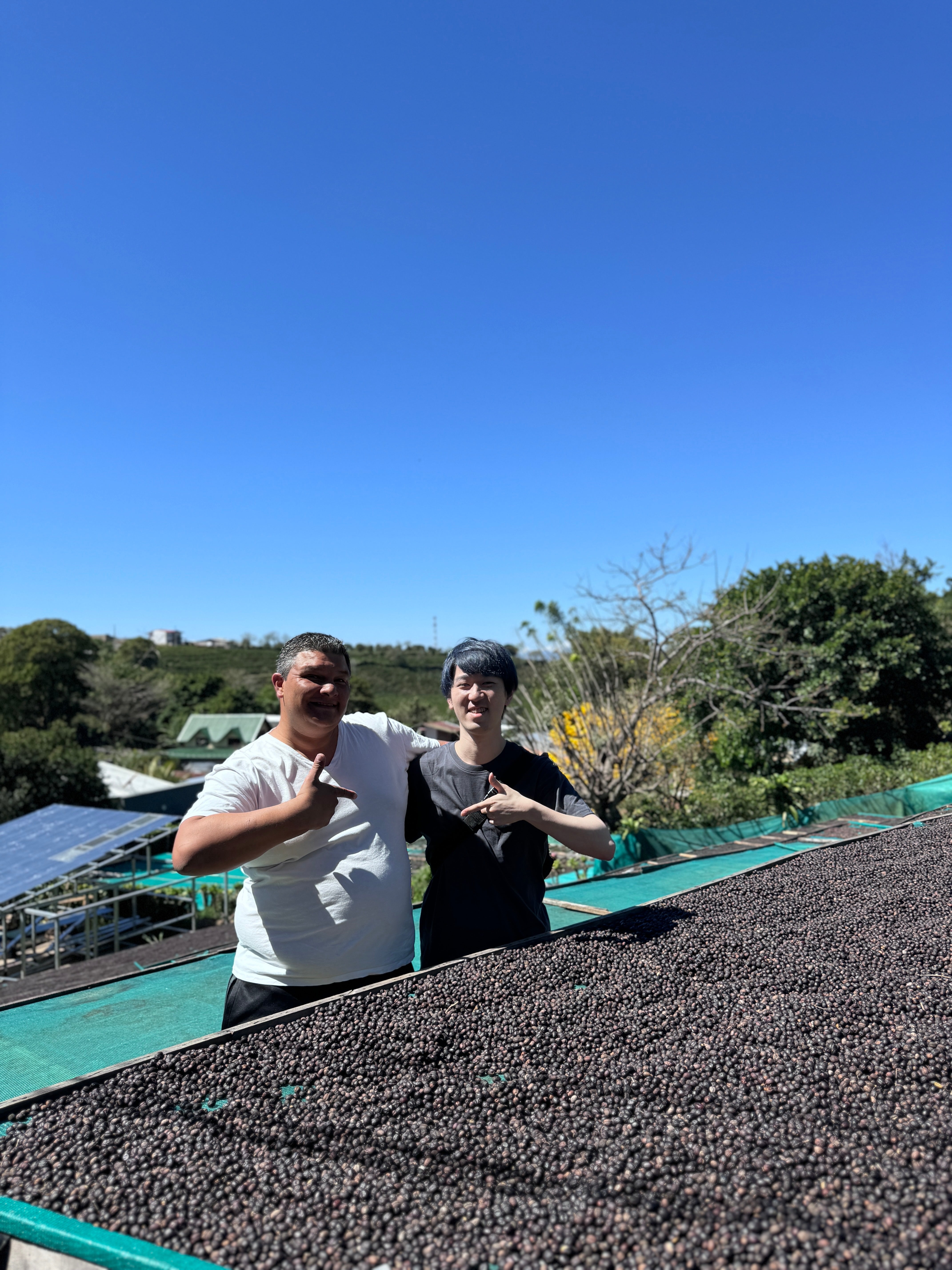 Costa Rica Geisha Botanical Anaerobic WAVY Special Lot