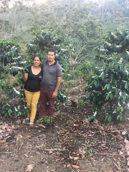 【New!!】Honduras COE #2