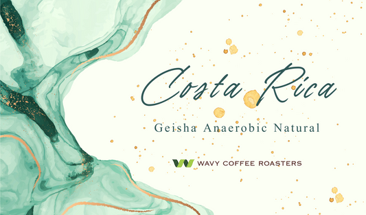 【NEW!!】Costa Rica Geisha Anaerobic Natural WAVY Special Lot
