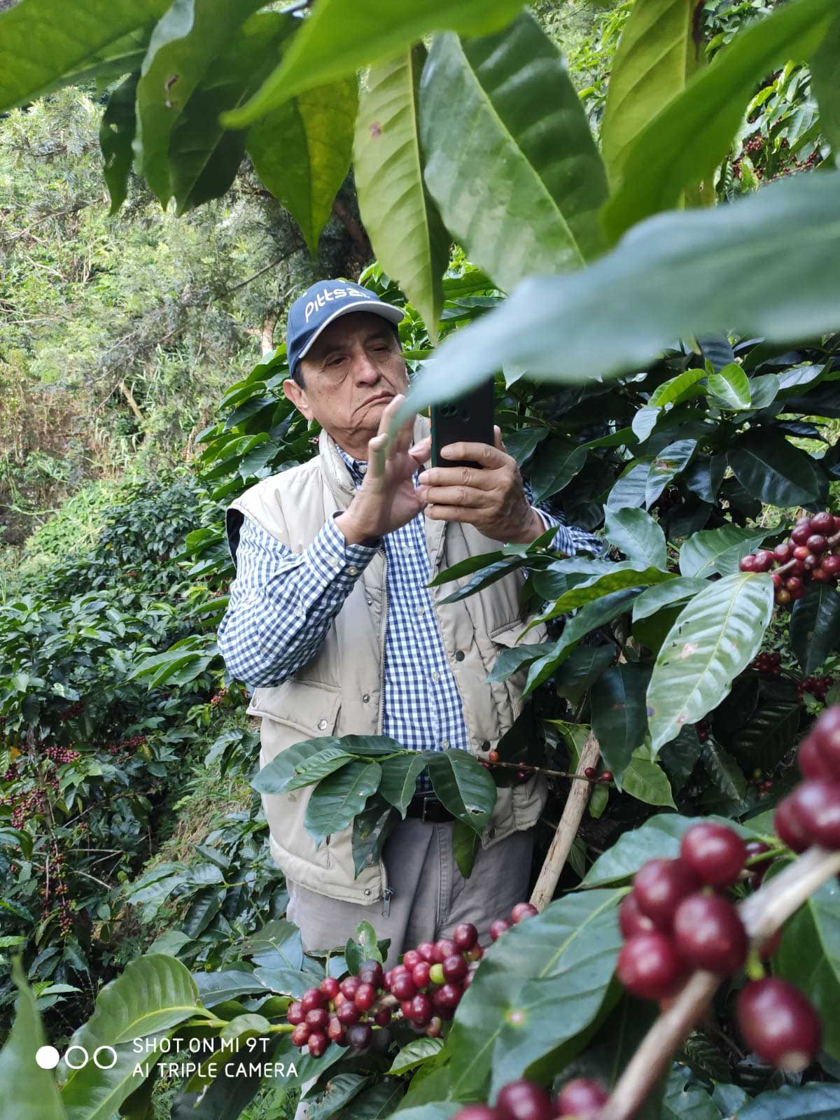 Guatemala COE #4