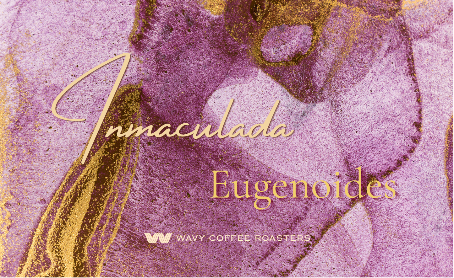 【Special Beans!!】Colombia Inmaculada Eugenoides