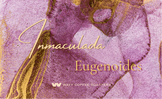 【Special Beans!!】Colombia Inmaculada Eugenoides
