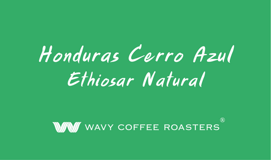 Honduras Ehtiosar Natural 〈焙煎豆卸〉