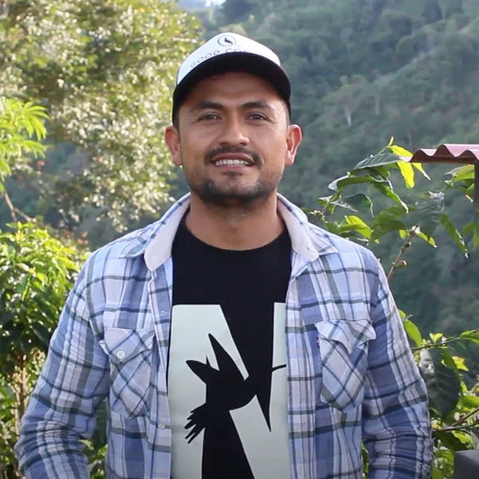 【NEW‼︎】Colombia Los Nogales Typica Low Caf