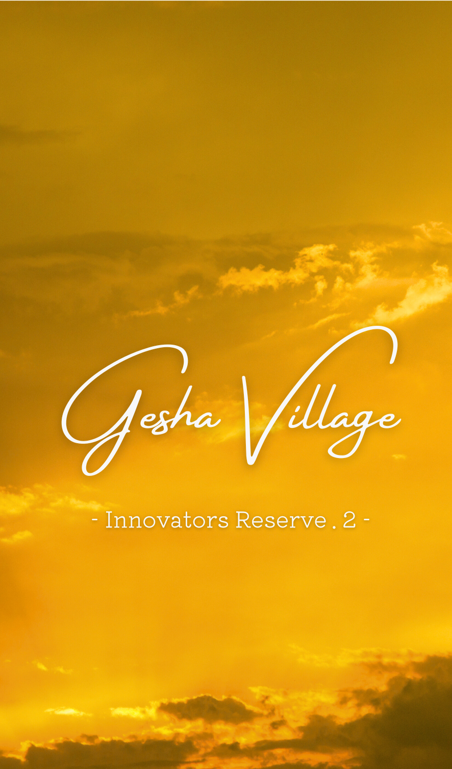 【NEW!!】Gesha Village Pride of Gesha Innovators Reserve 2位