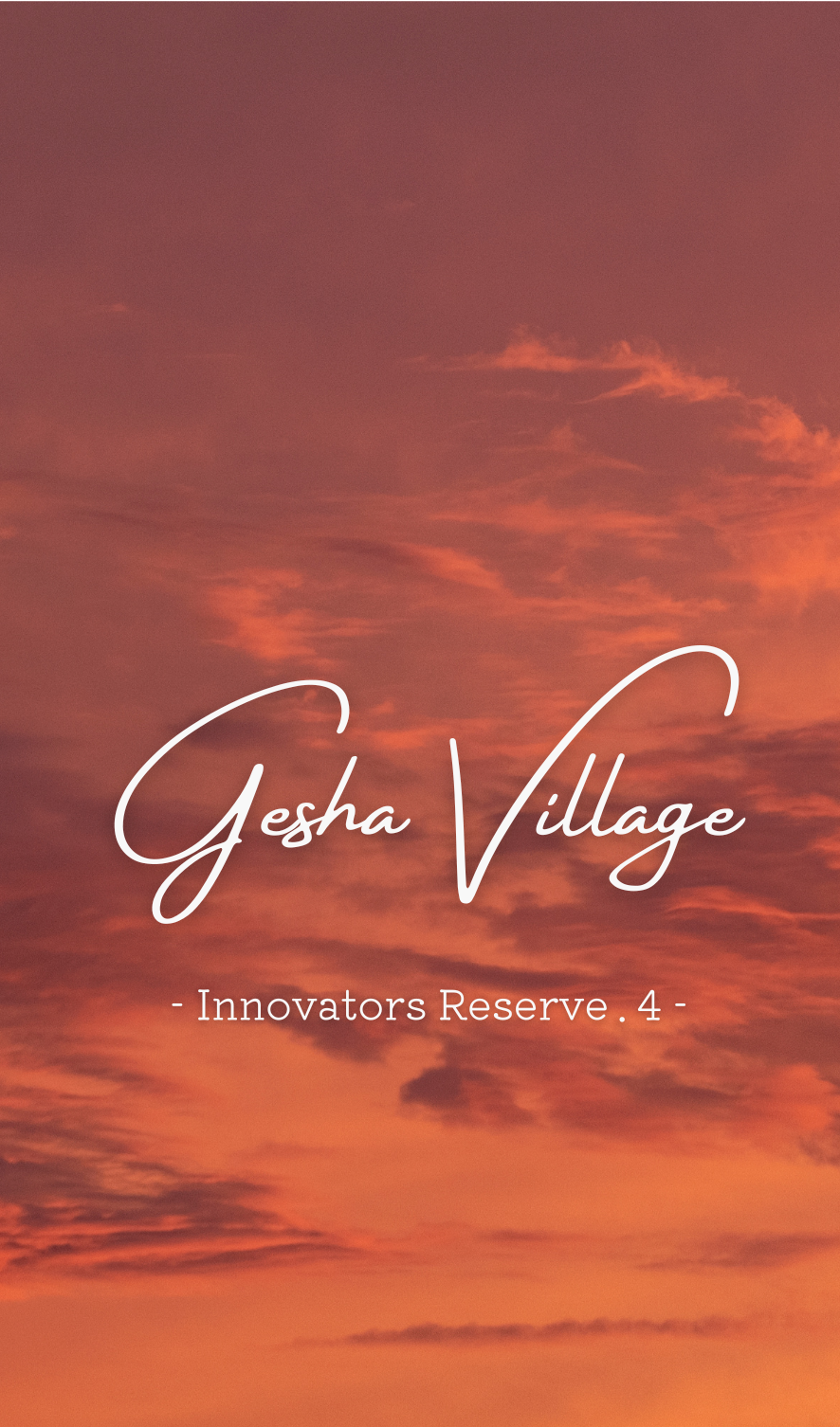 Ethiopia Gesha Village Innovators Reserve 4位