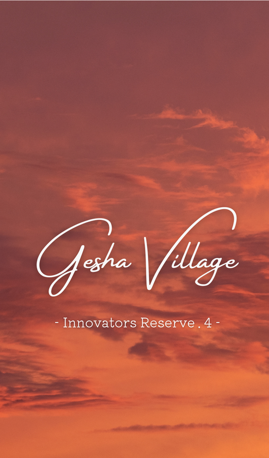 Ethiopia Gesha Village Innovators Reserve 4位