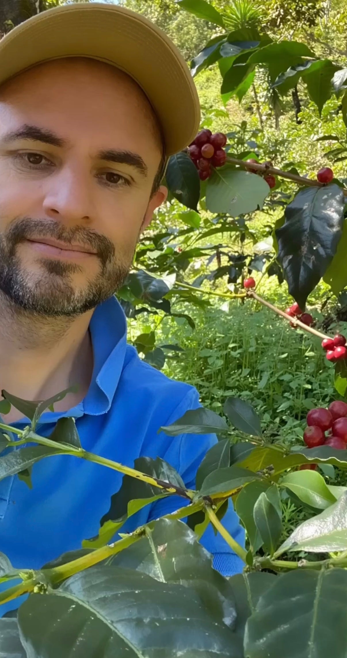 【NEW!!】Guatemala El Zapote y Anexos