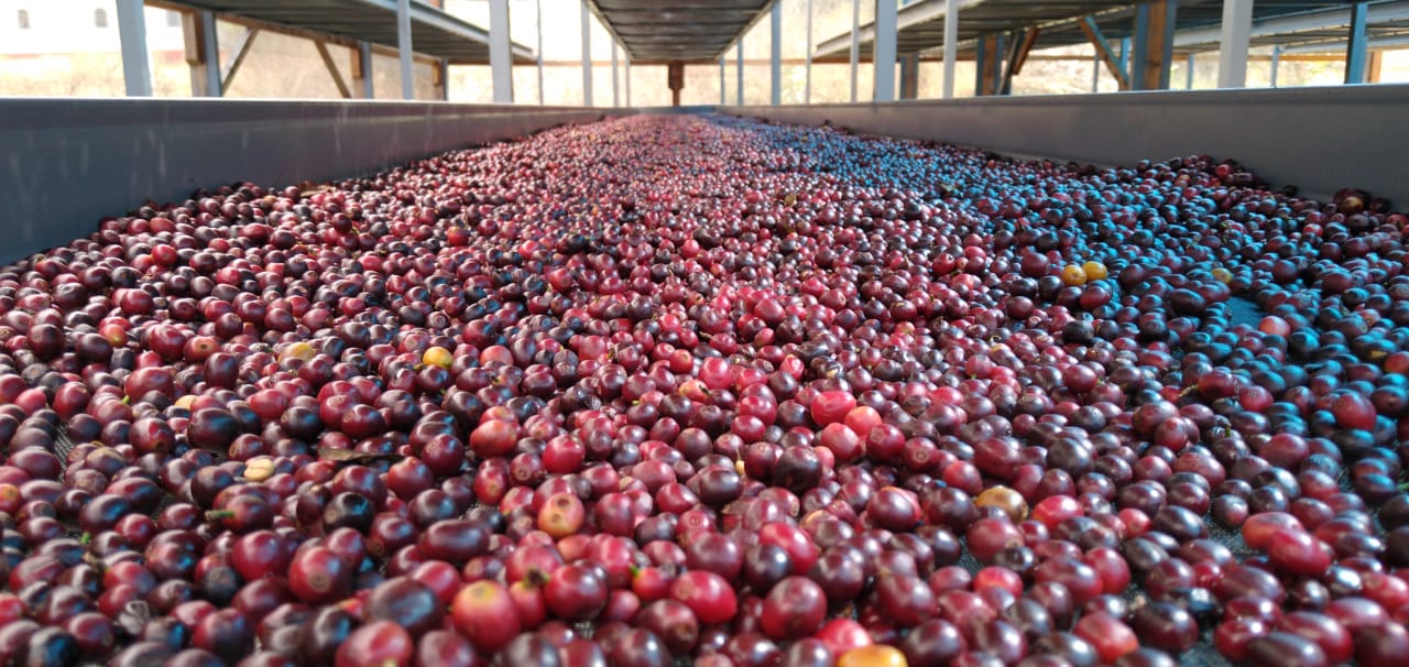 【New!!】Guatemala Cascada Encantada