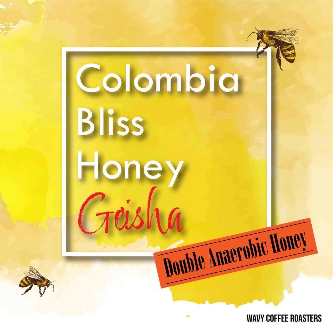 【残りわずか！】Colombia Bliss Honey Geisha WAVY LOT